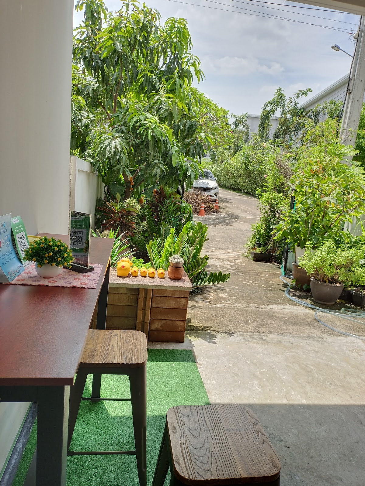 Anny madiicoffee398/5