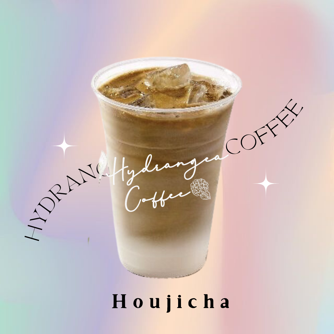 Hydrangea Coffee – Wongwian Yai (Wongwian Yai)