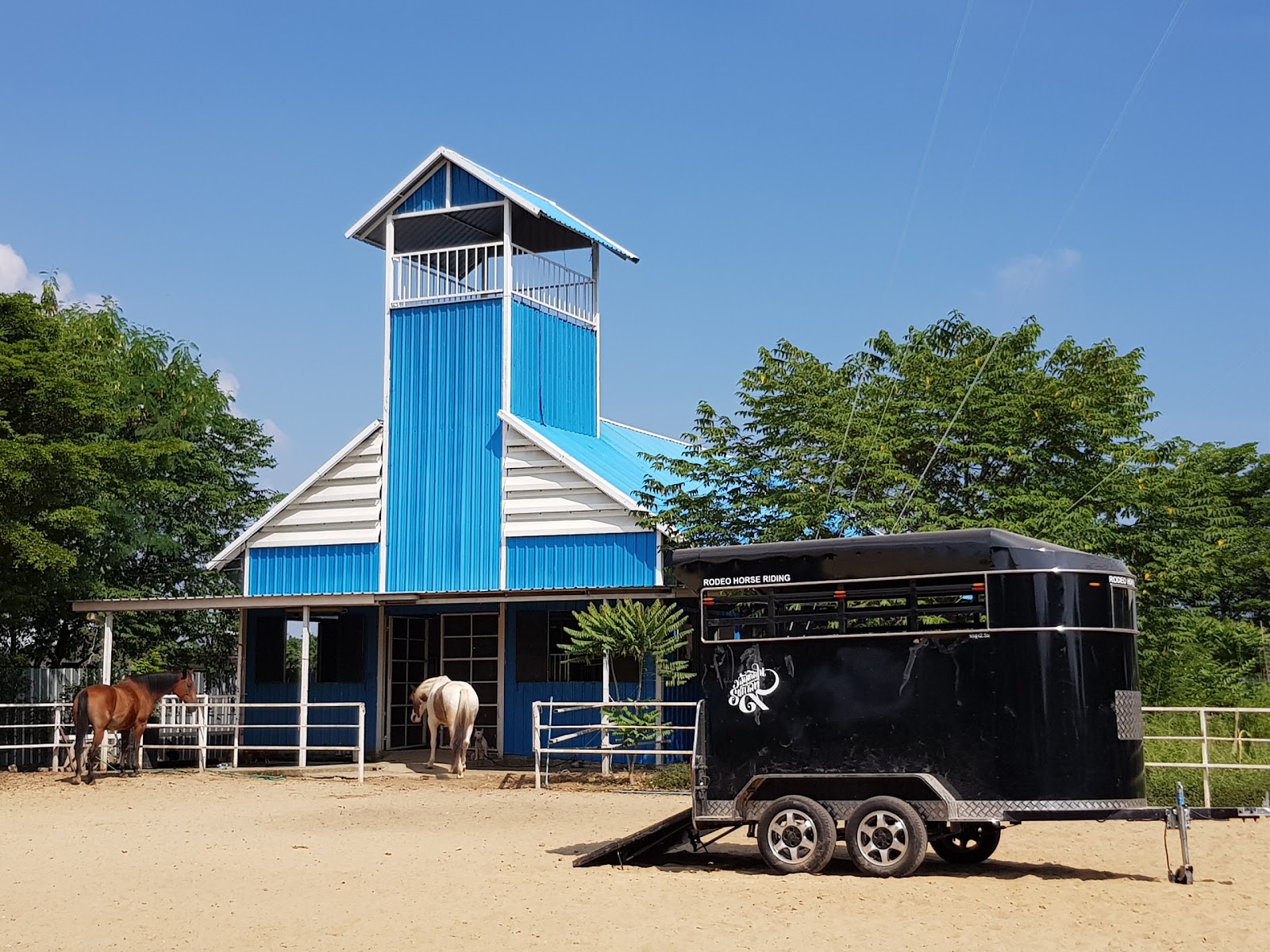 Rodeo Horse Riding Rodeo Horse Riding BKK
