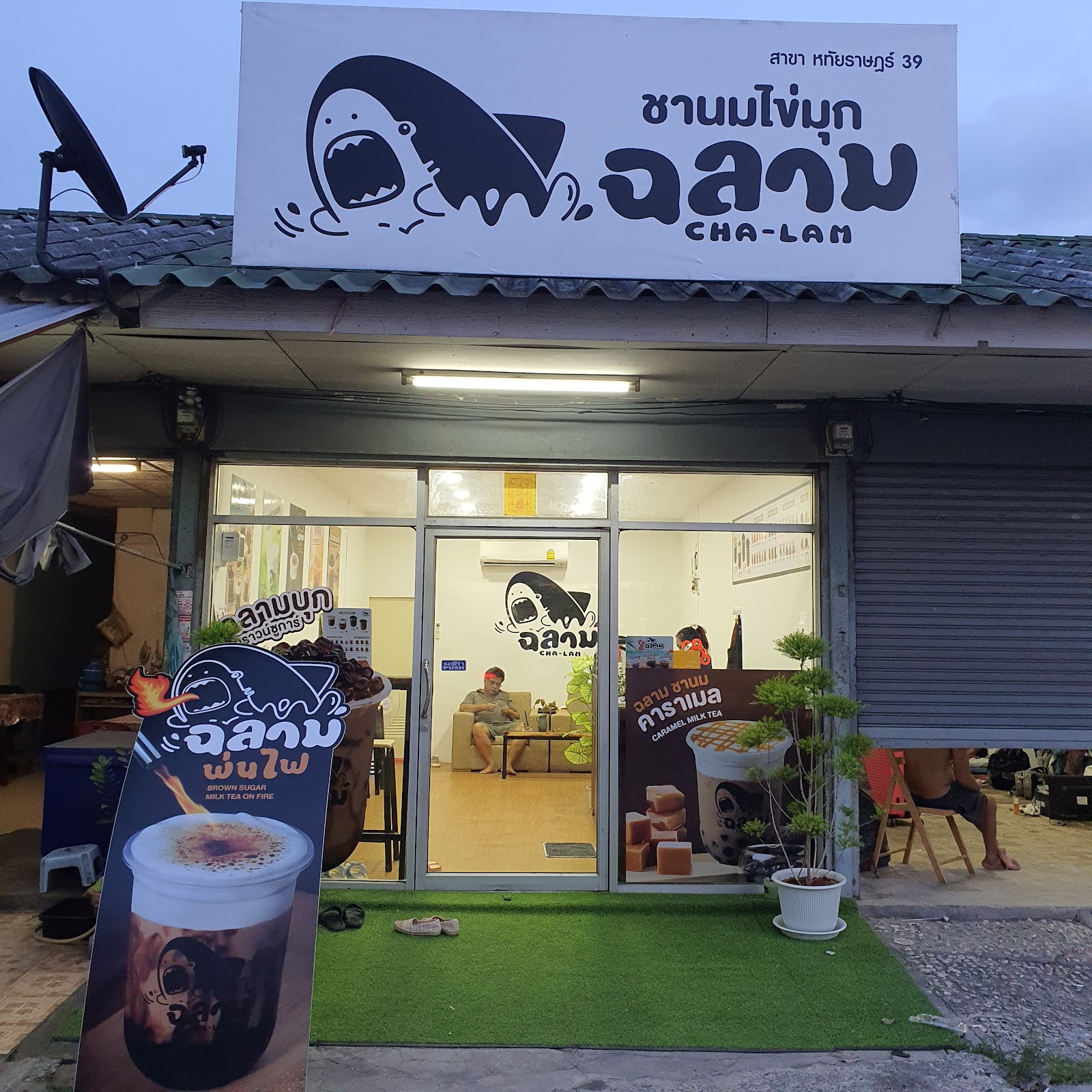 Milk Tea Shark Hatairat 39