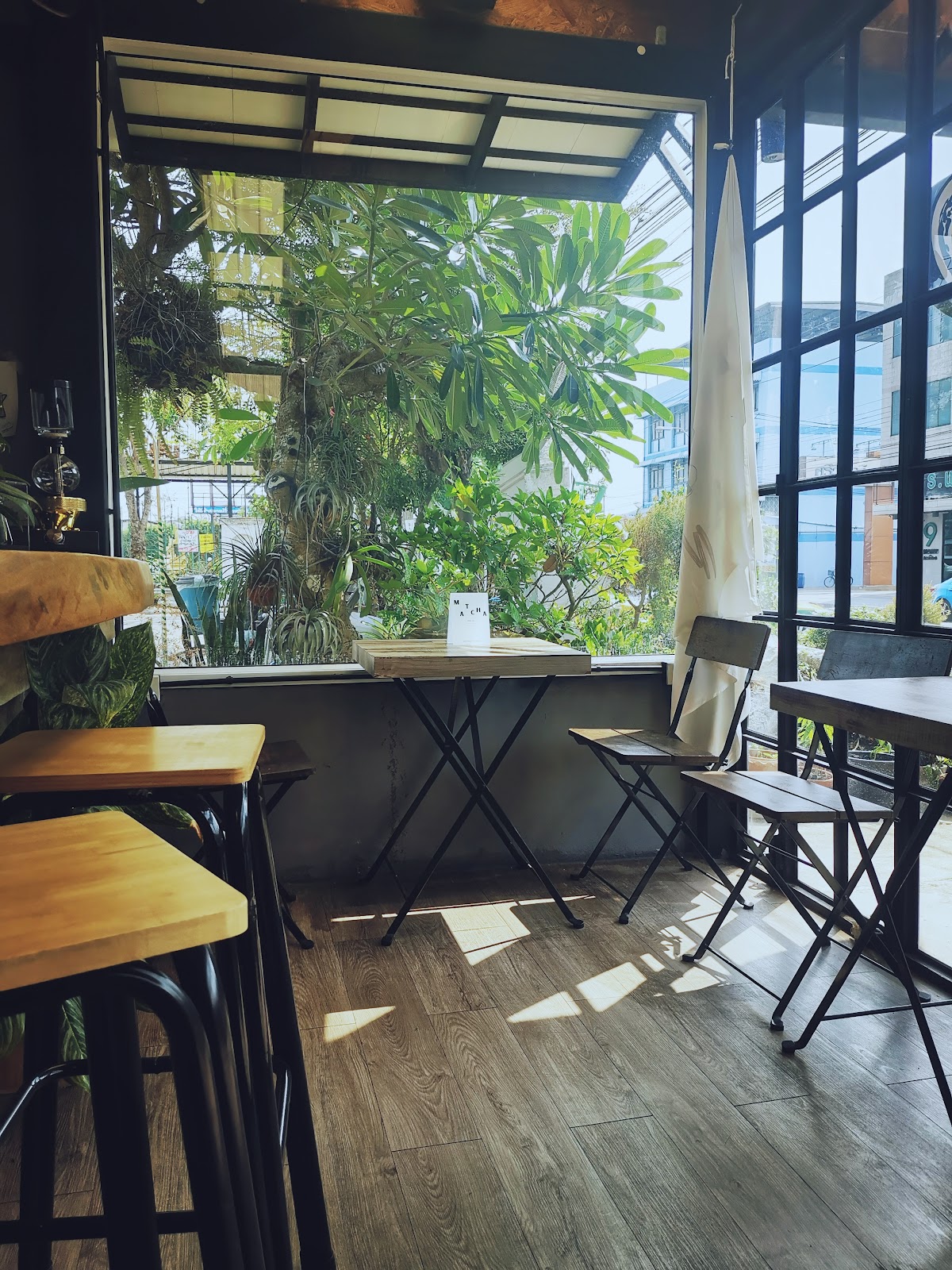 Milli TeaSpace Saimai