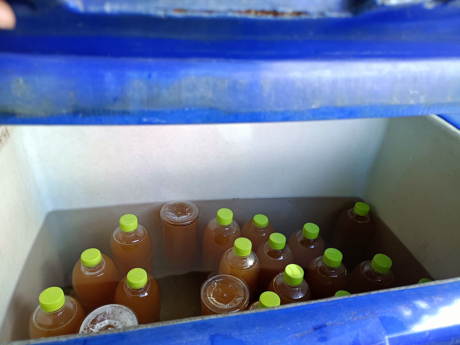 Water Kratom Bang Wut Bueng Toei (Boss Jam)