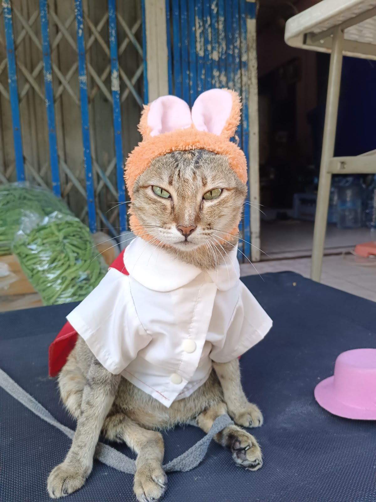 Tae Tae Ancient Coffee