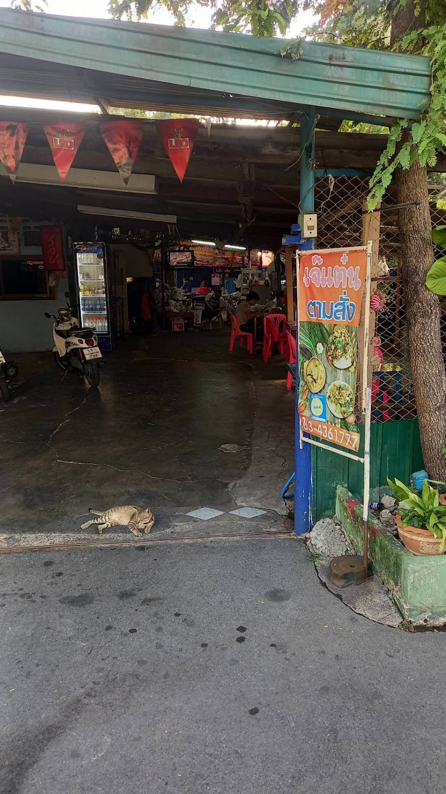 Jeten did as ordered.