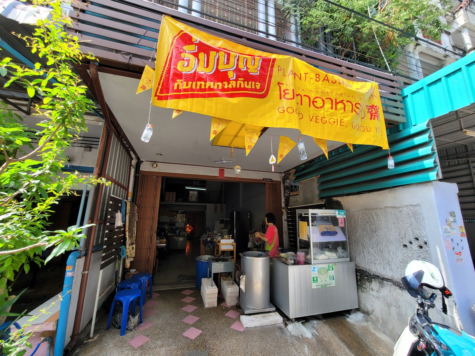 Noodles lined up (jaejok)