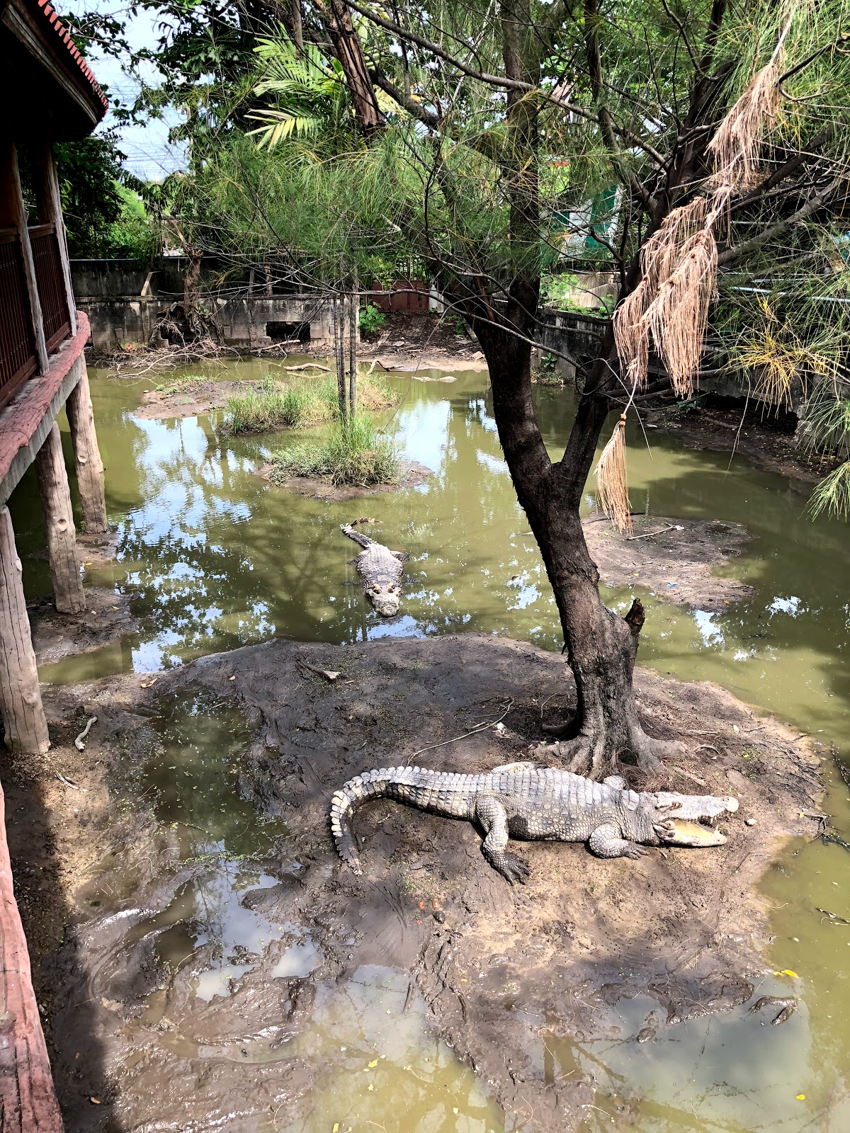 Sattle (Thailand) Ltd., Pt.