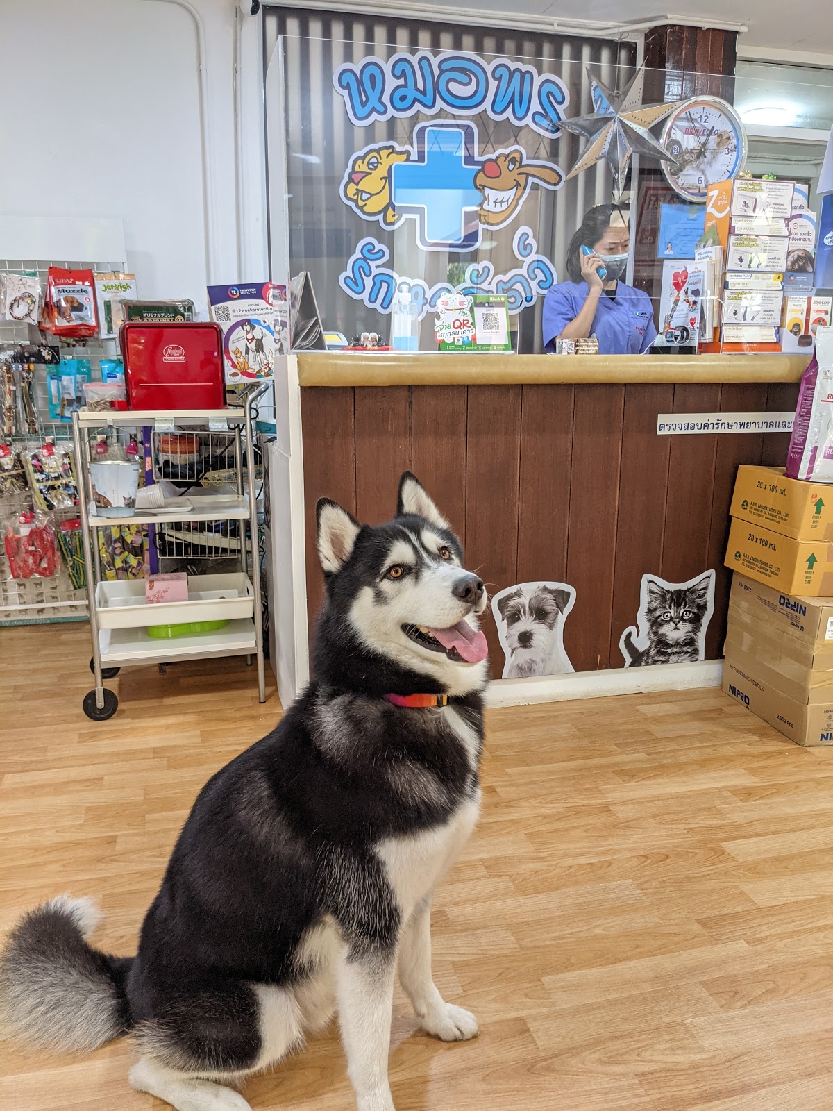 Dr. PHORN VET. CLINIC (DR.PHORN VET. CLINIC) Phatthanakan