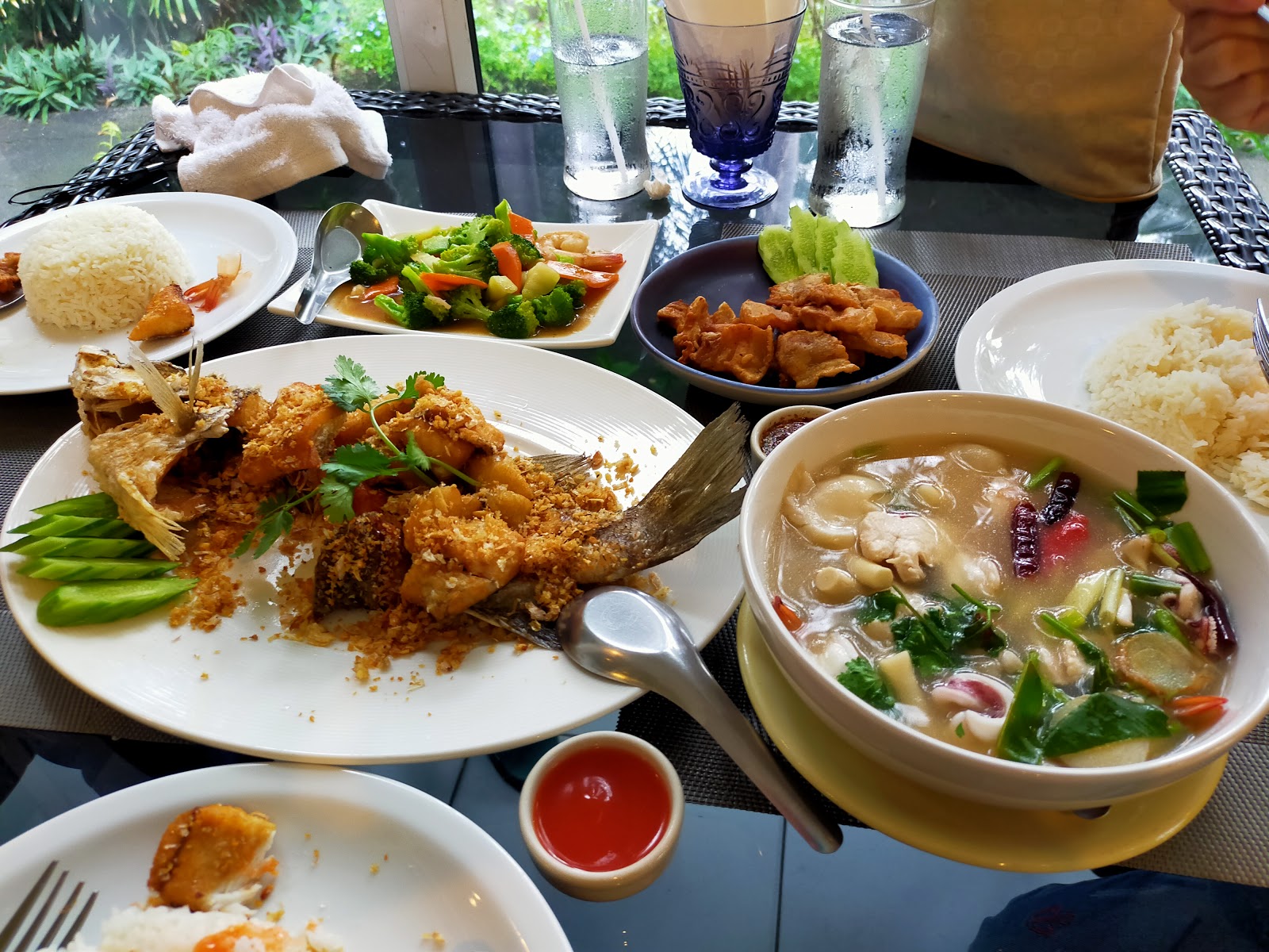 Kruasuan Palm (Palms)