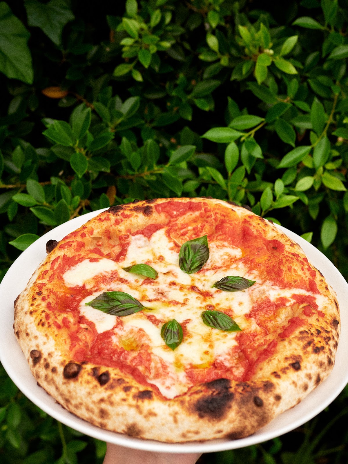 82 Pizza by Blast Meat and Sausage