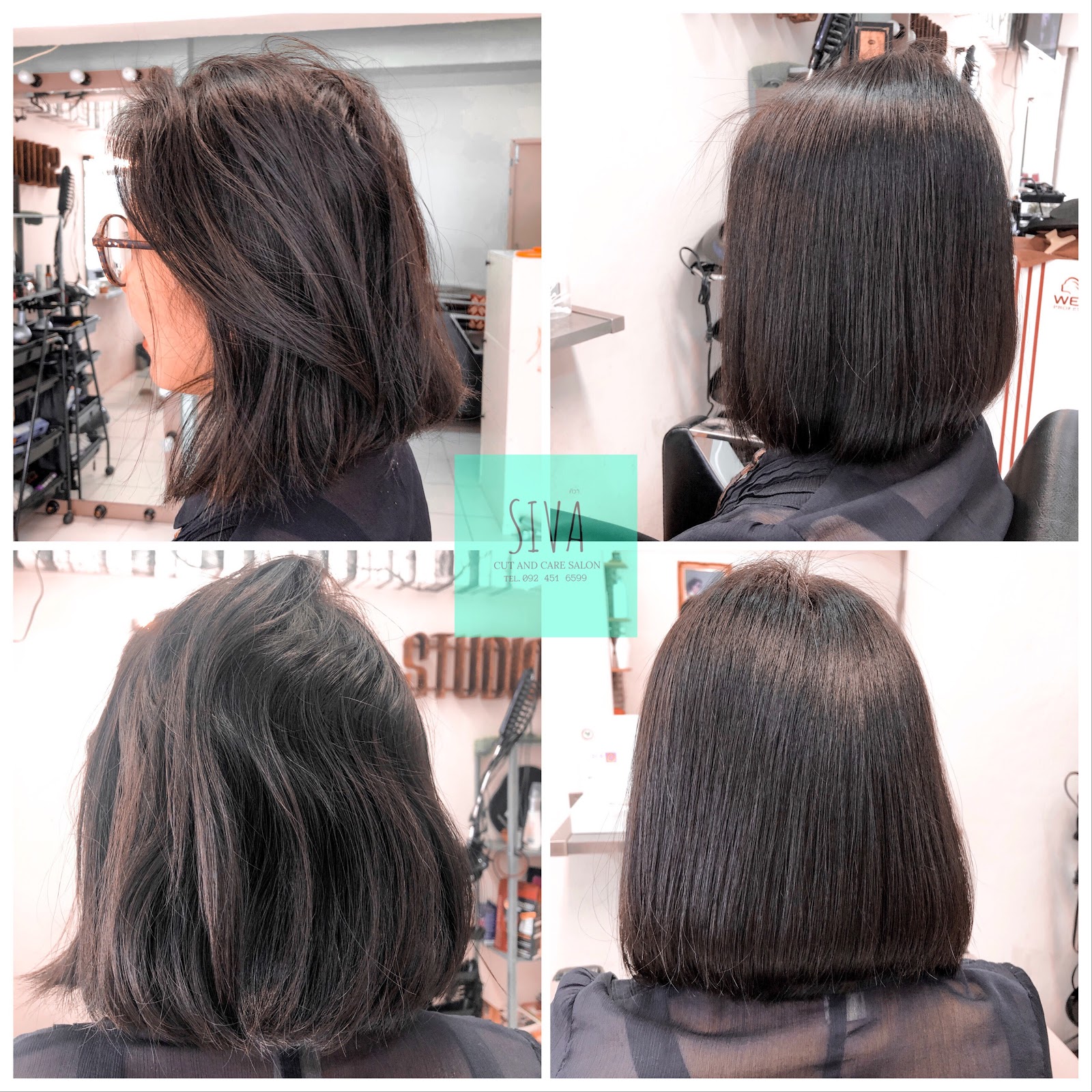 Shiba Salon Shiba Salon