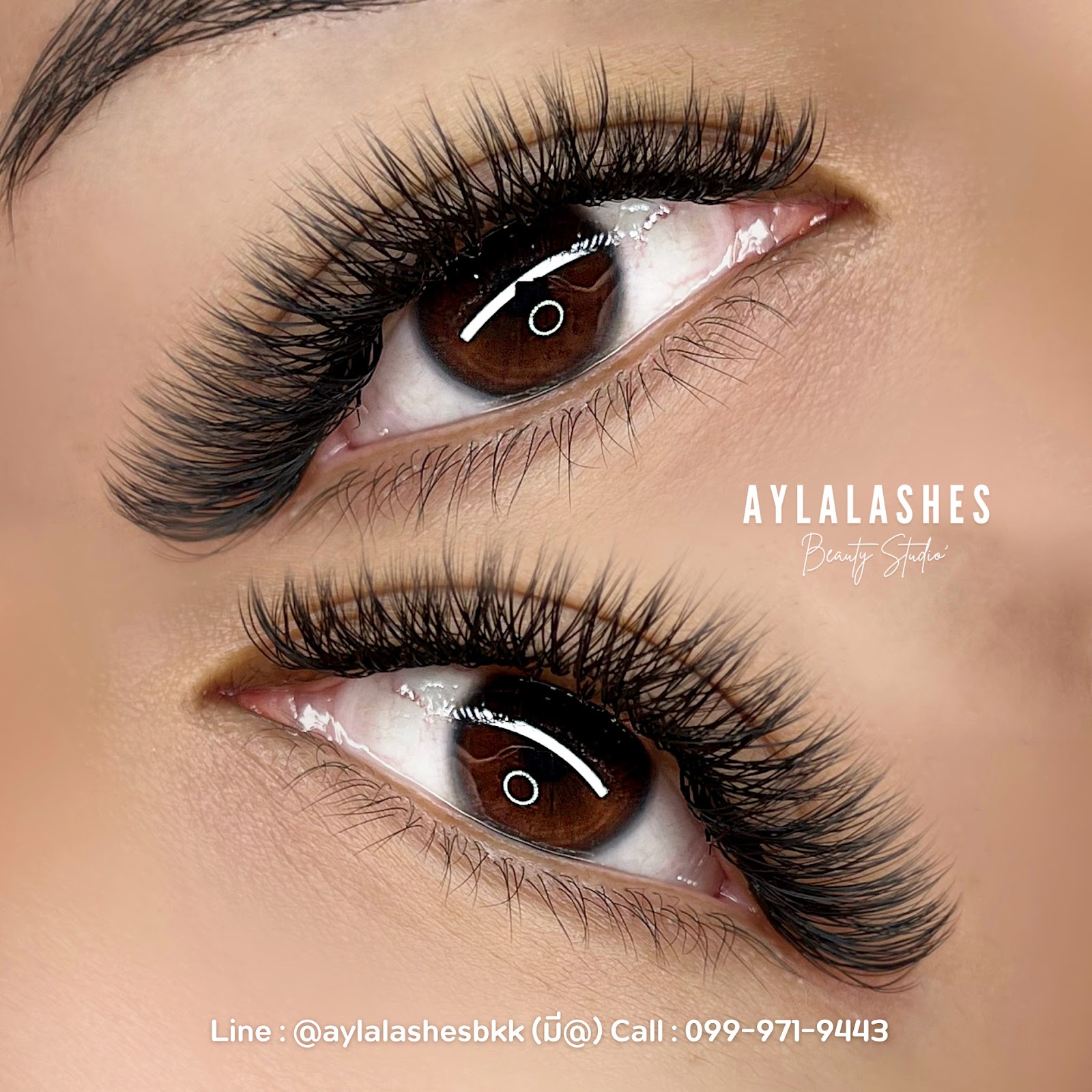 Aylalashes.studio