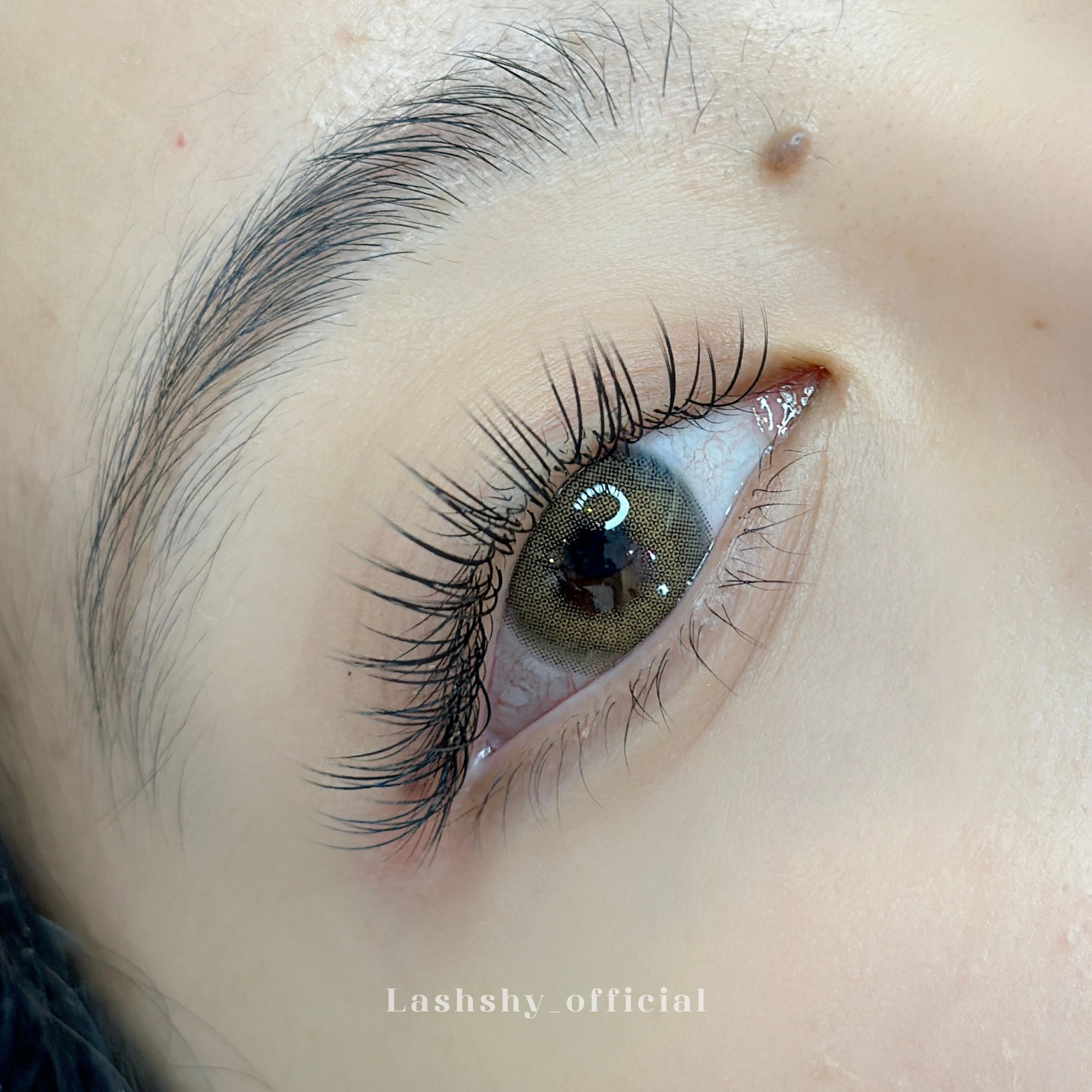 Lashai Eyelash Salon &#8211; Eyelash extensions, eyelash lift