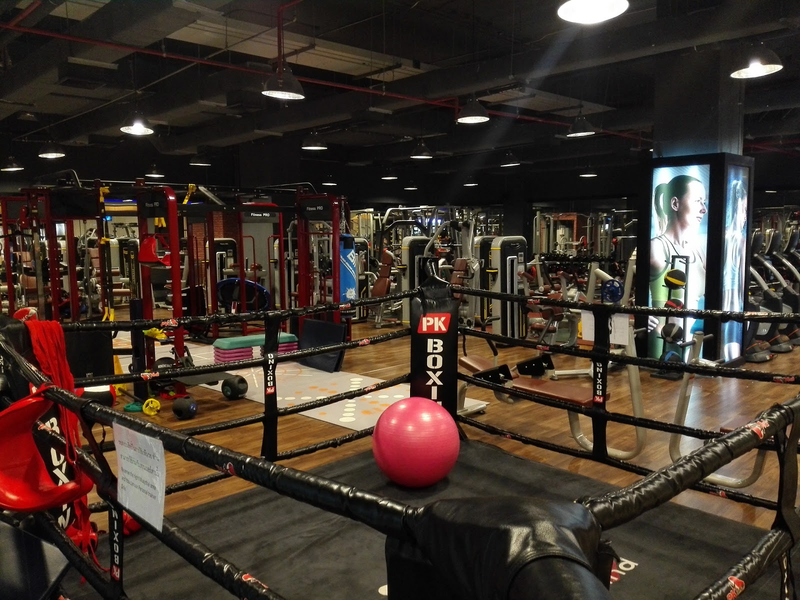 Asia Association Fitness