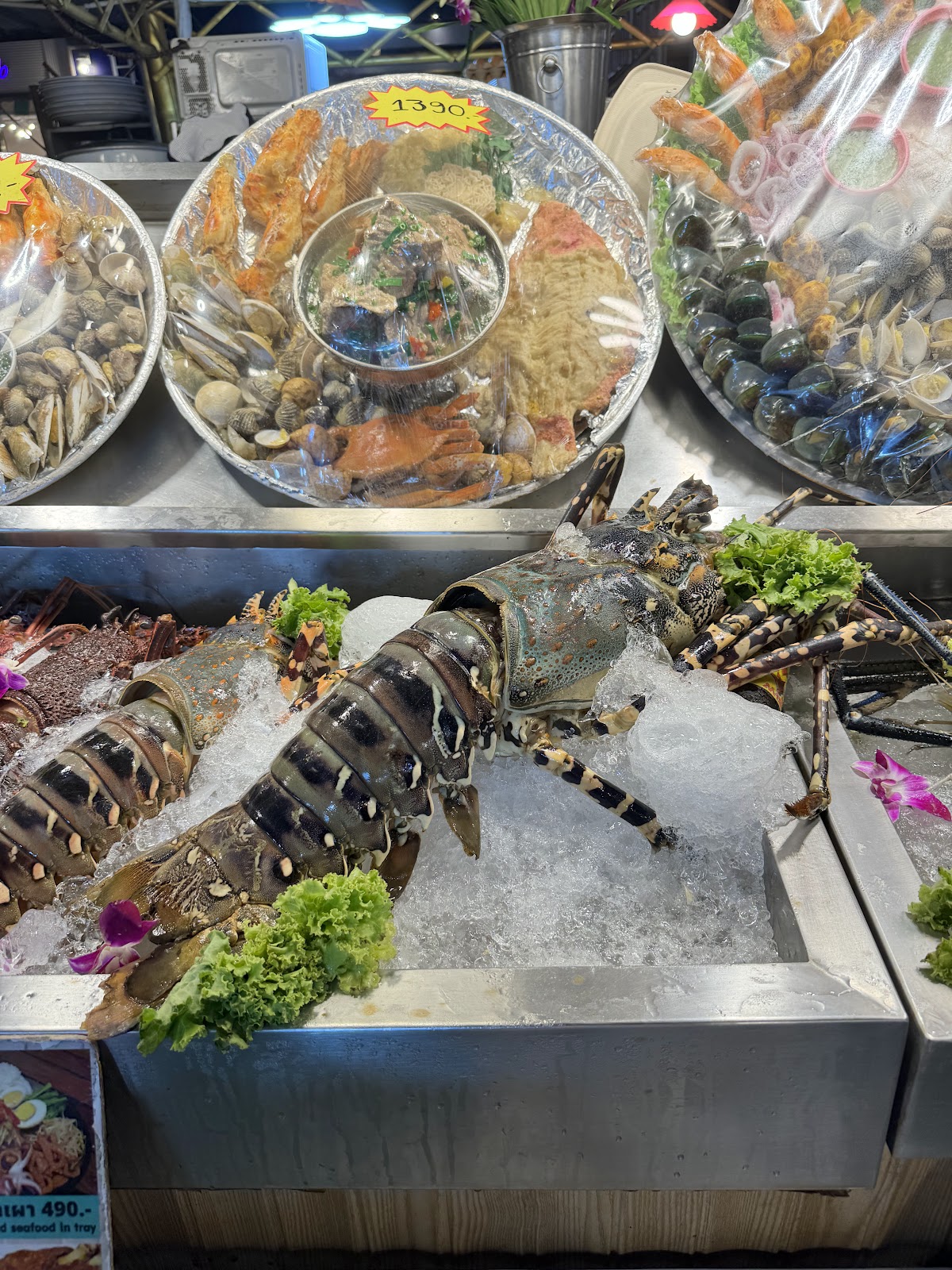 Squid stranded at JODD FAIRS Central Rama 9