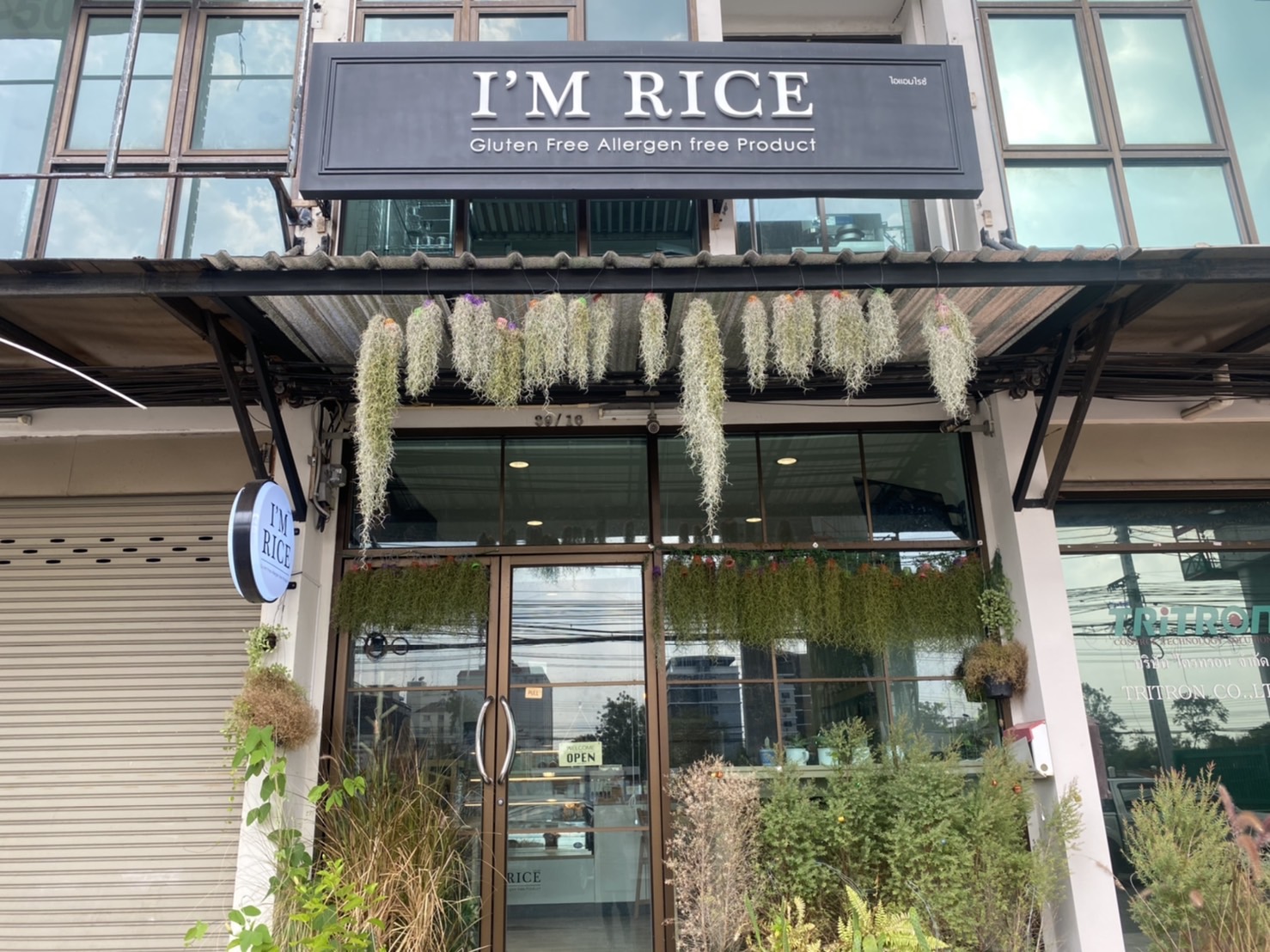 I am Rice
