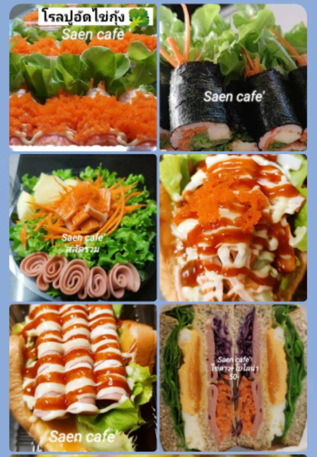 Vegetable Garden Cafe and Salad