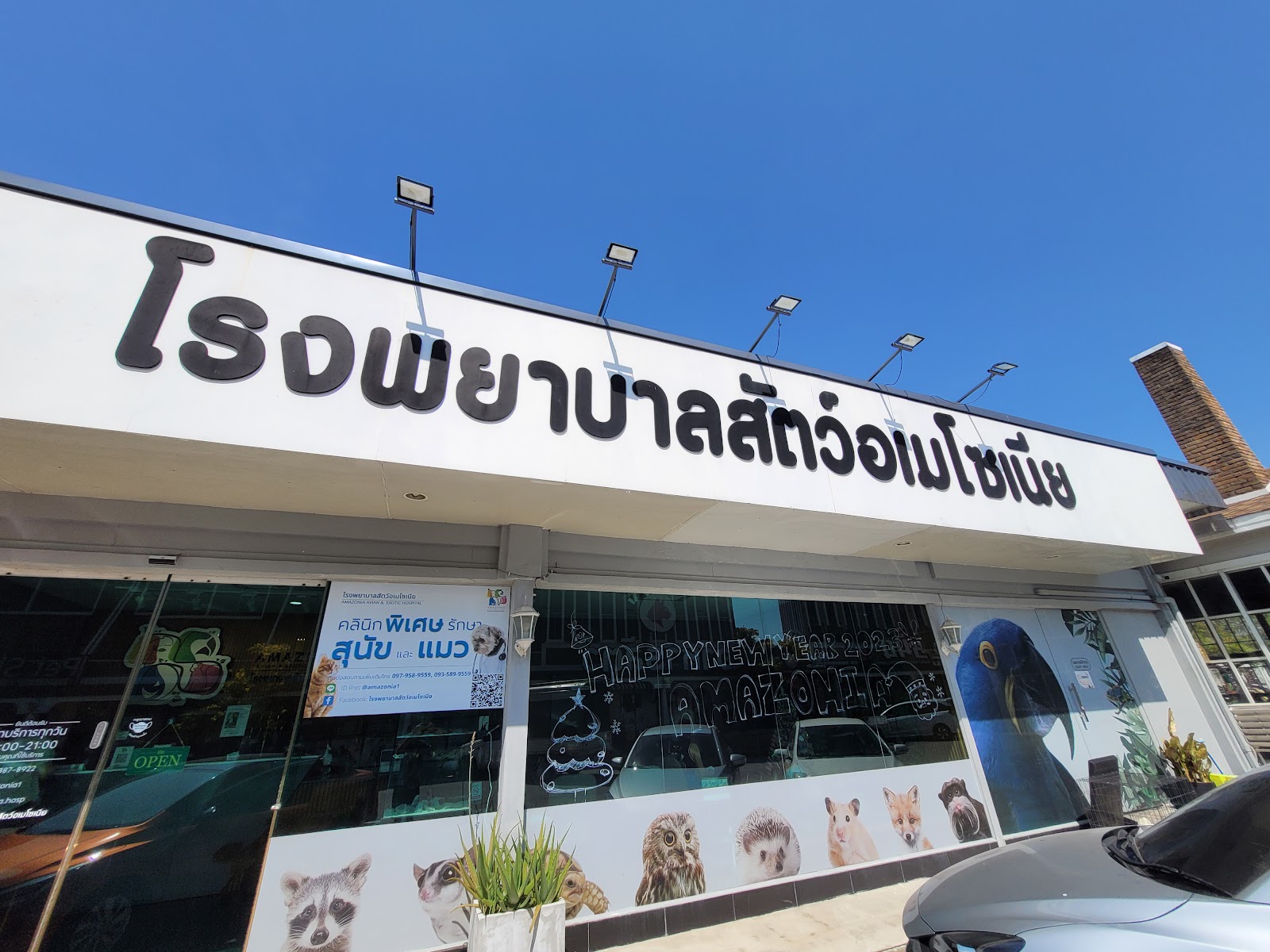 Amazonian Animal Hospital