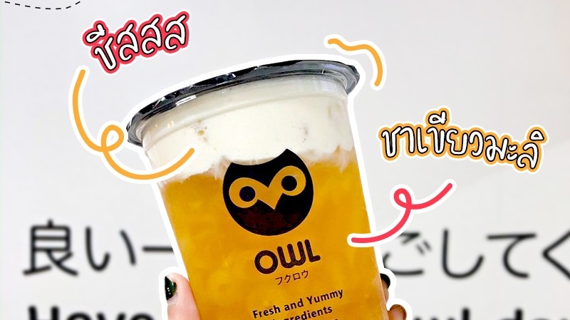 OWL CHA Ramkhamhaeng 24