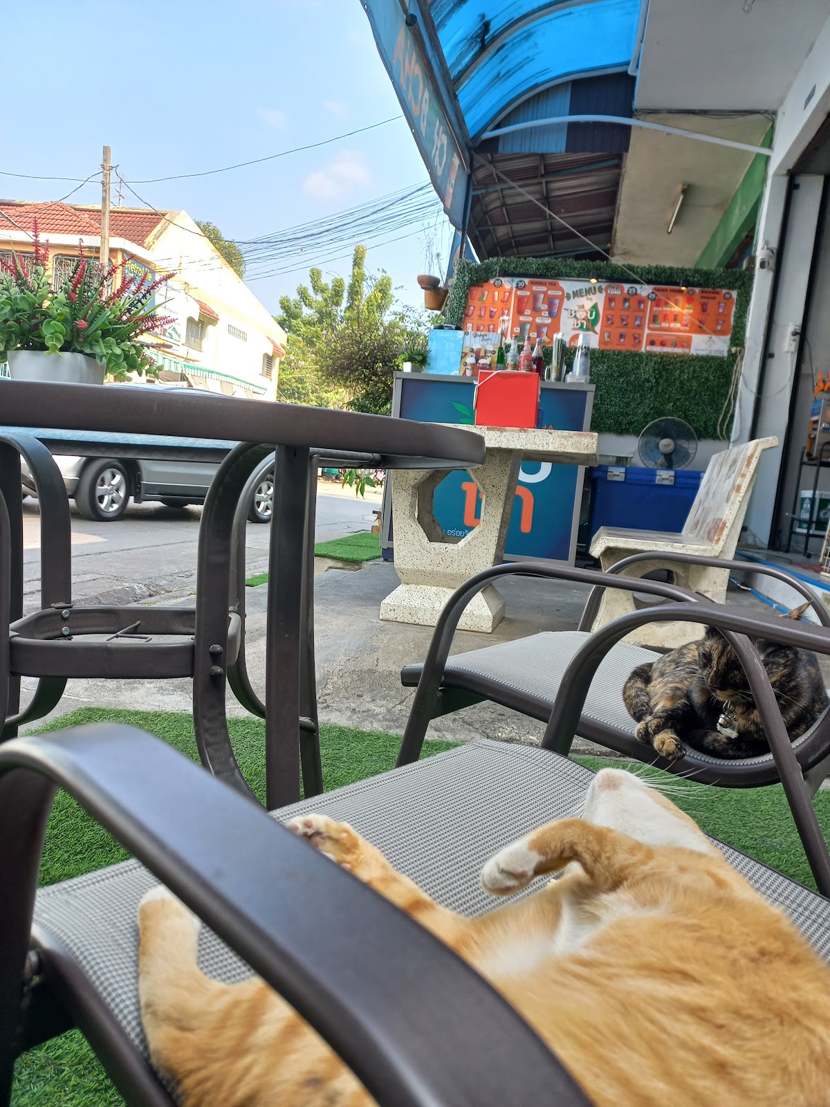 Chobcha Shop, Ladprao 87