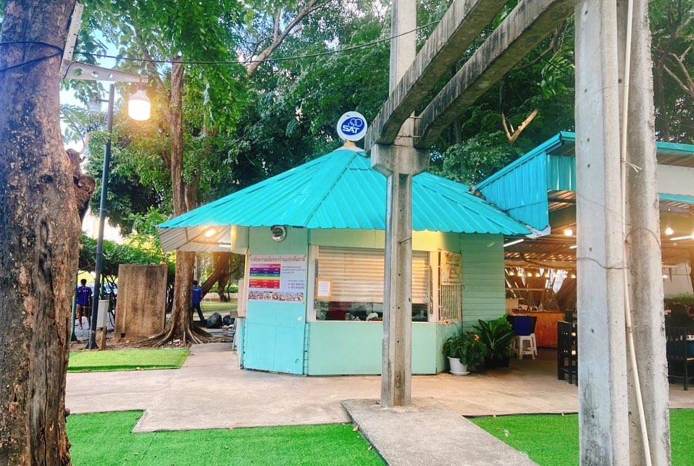 Zaap Steamed Chad&#8217;s Papaya Salad