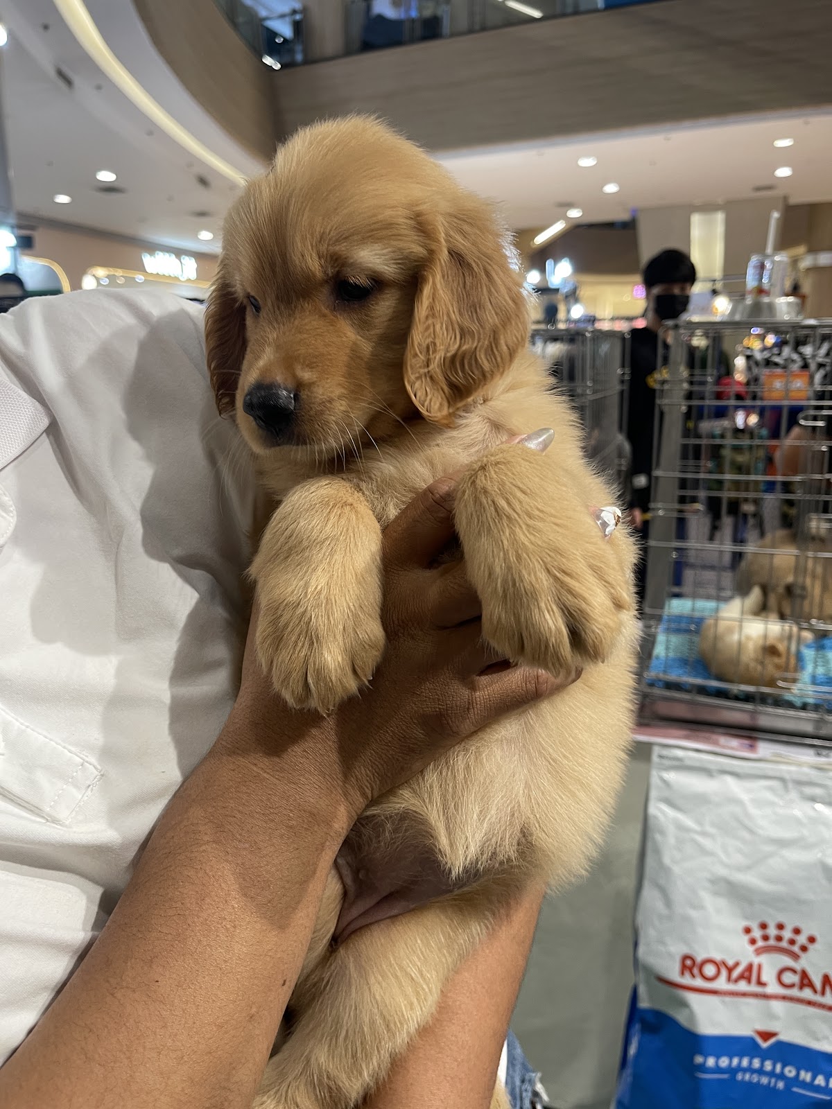 Pretty Relaxation Massage