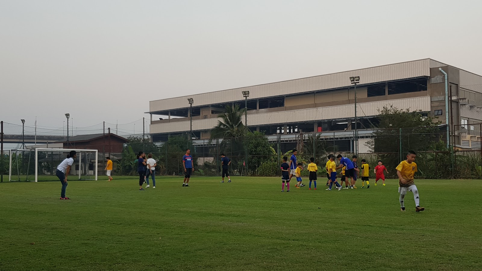 Real grass football field TJ (TJ Football Club)