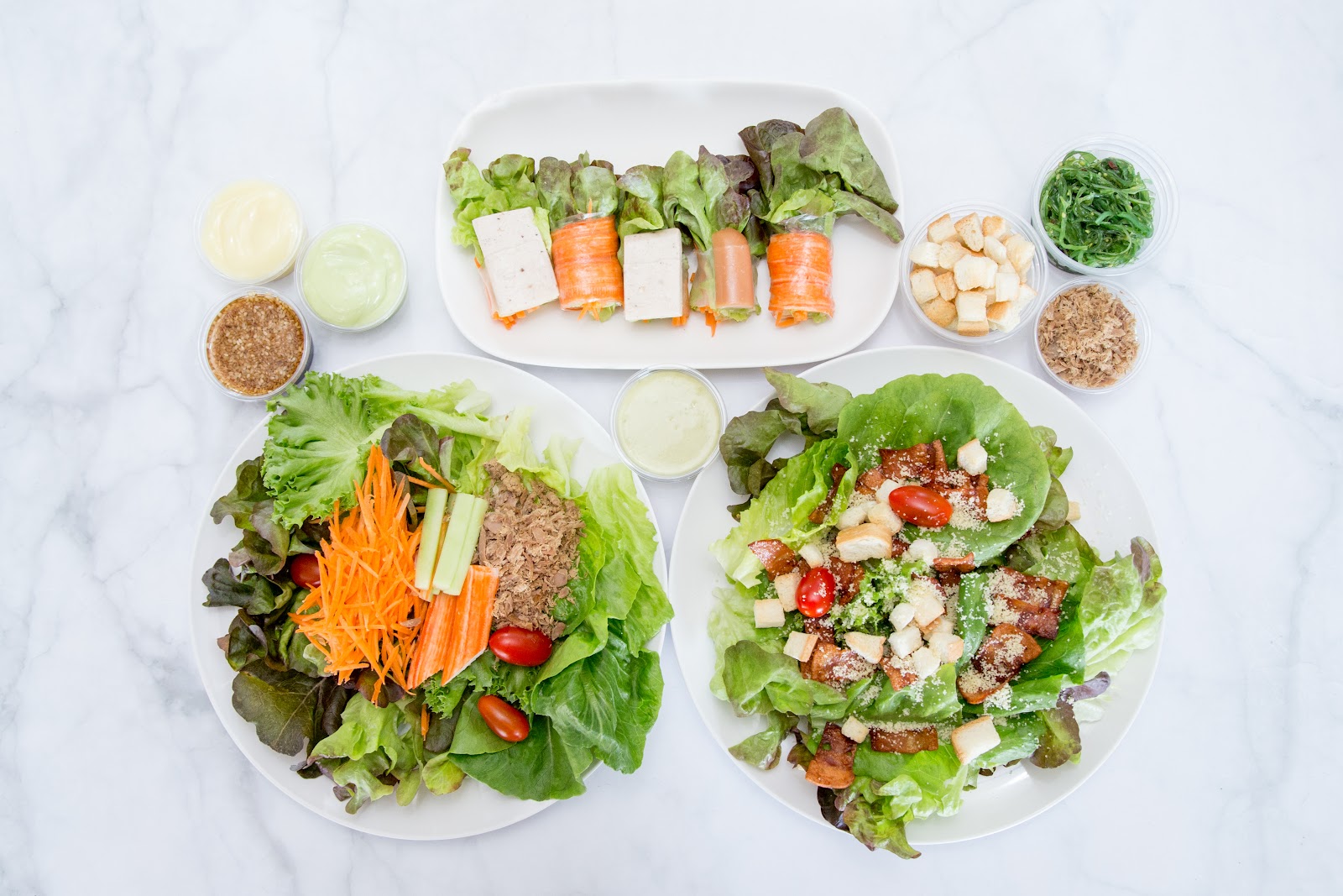 Water Box Hydroponics