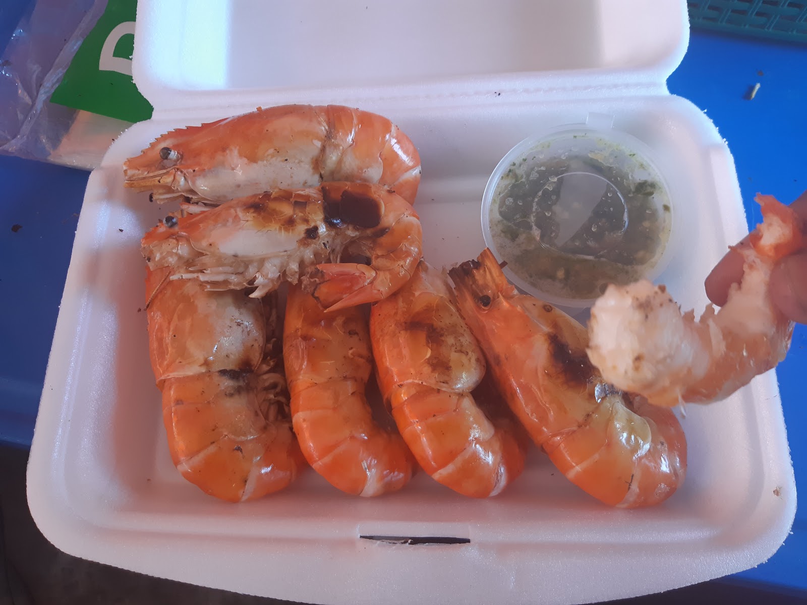 Fresh Sea Whale by Hiaya