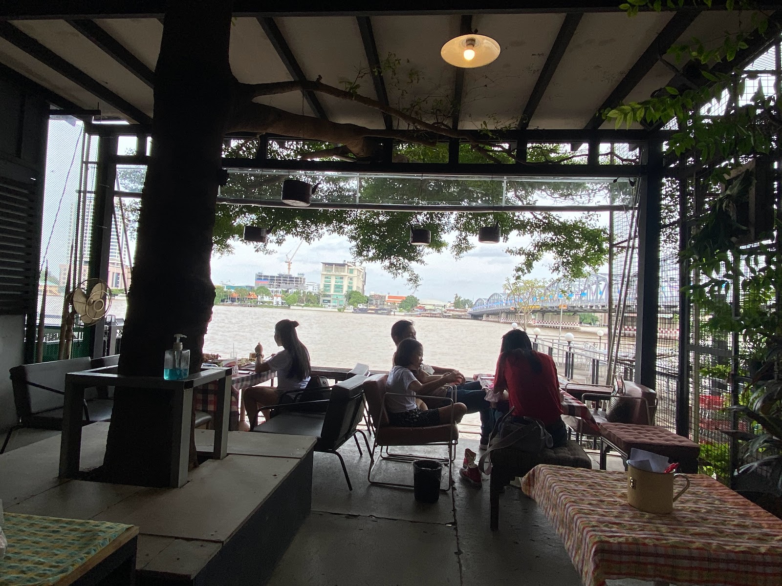 Coffee on Tree Coffee on Tree