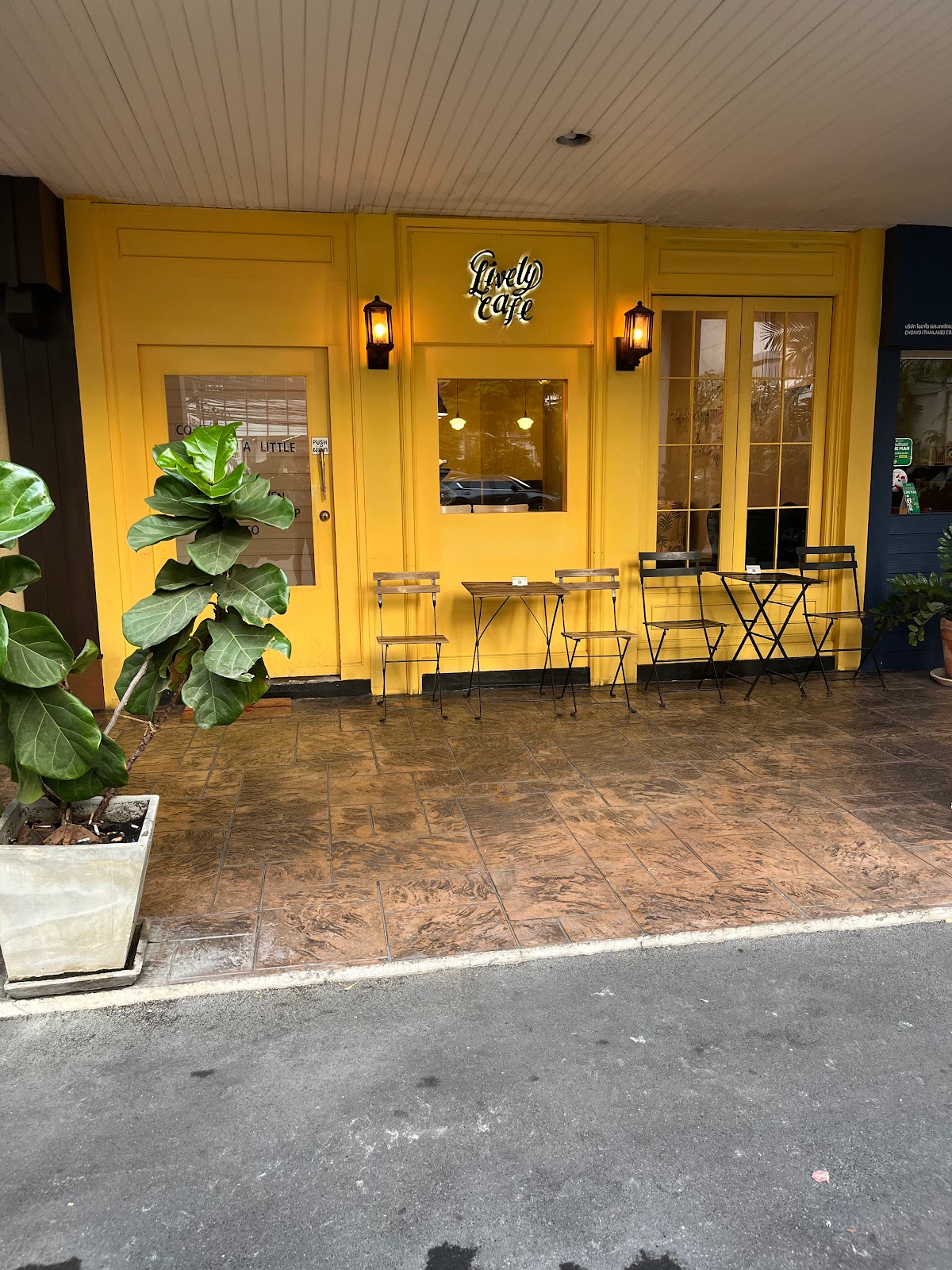 A bustling cafe