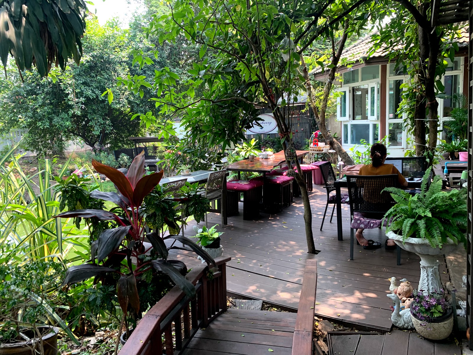 Blueberry Bakery & Coffee