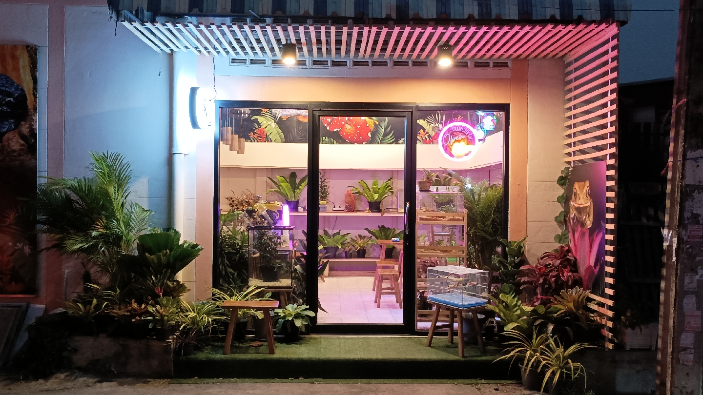 Terristic Cafe