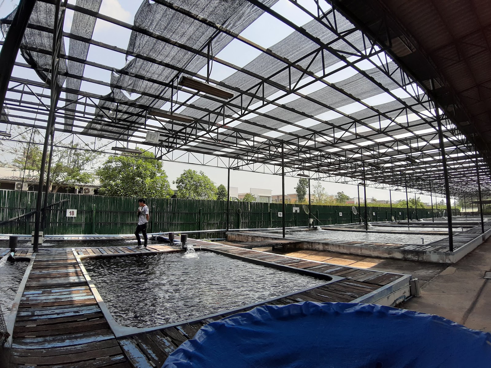 Bangkok Farm Fancy Fish Center Co.,LTD.