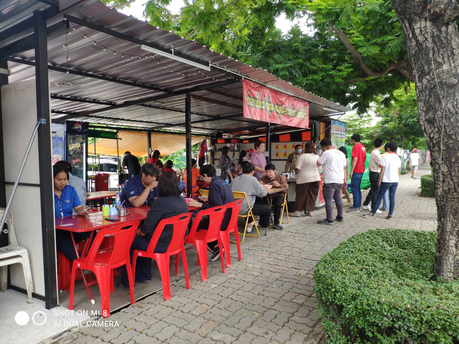 Charcoal grilled chicken noodles